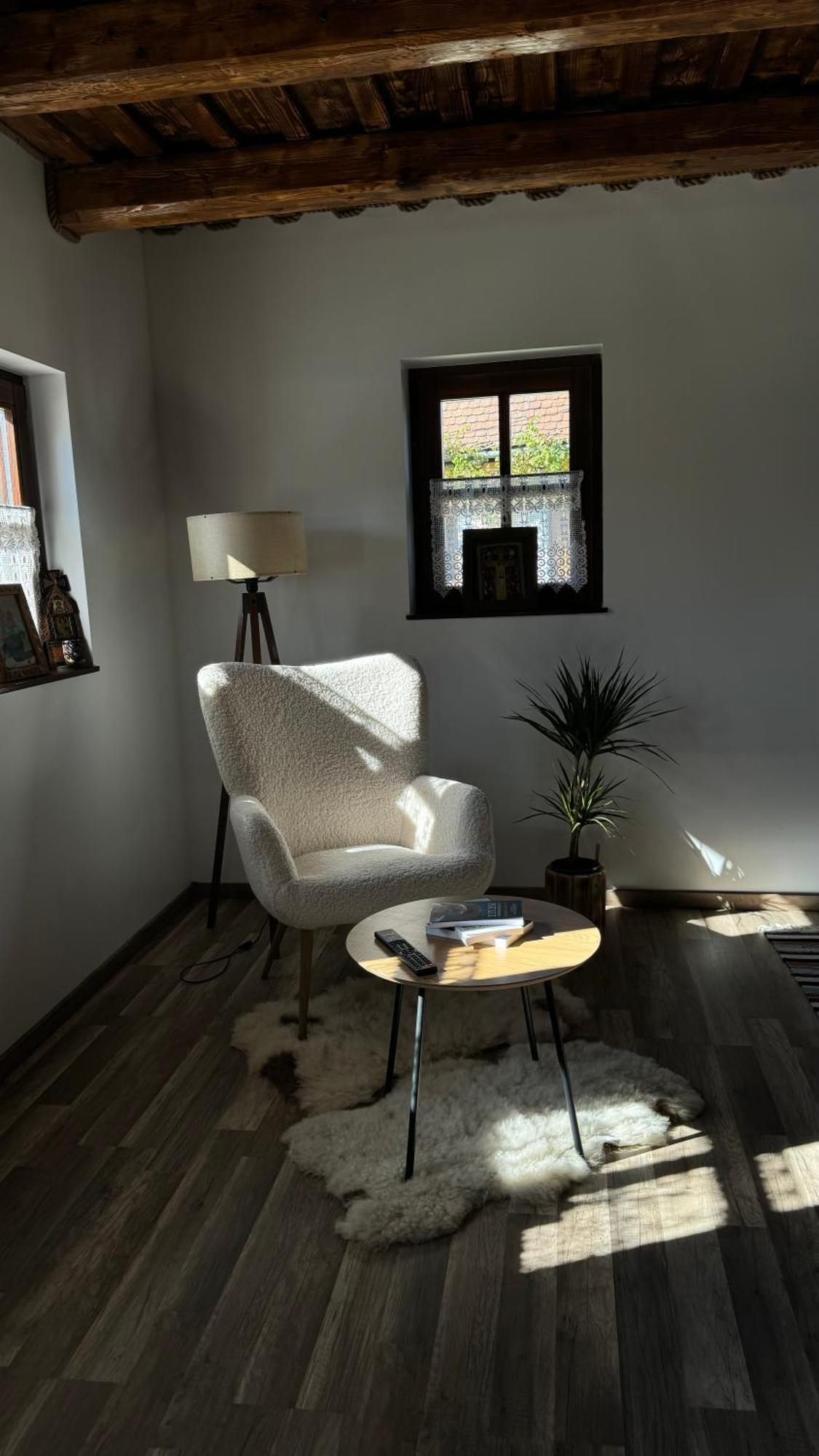 Casuta Cu Tihna Villa Porumbacu de Sus Ngoại thất bức ảnh