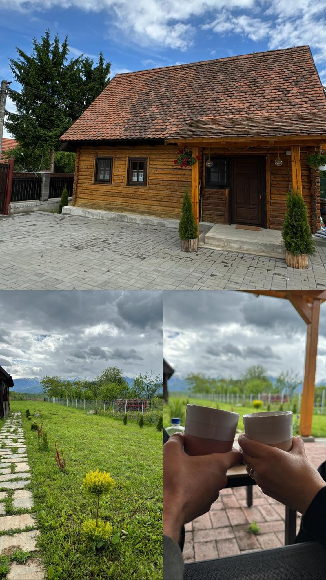 Casuta Cu Tihna Villa Porumbacu de Sus Ngoại thất bức ảnh